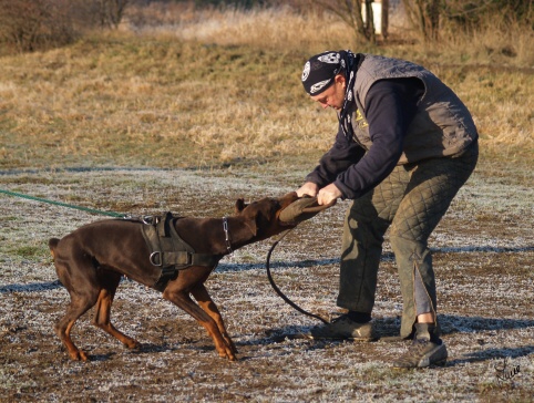 The christmas training 27.12.2006